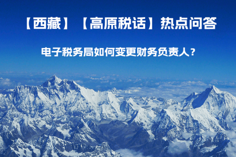 電子稅務(wù)局如何變更財(cái)務(wù)負(fù)責(zé)人？