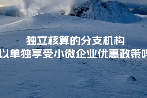 獨立核算的分支機構可以單獨享受小微企業(yè)優(yōu)惠政策嗎？