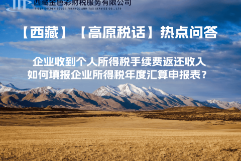 企業(yè)收到個(gè)人所得稅手續(xù)費(fèi)返還收入，如何填報(bào)企業(yè)所得稅年度匯算申報(bào)表？