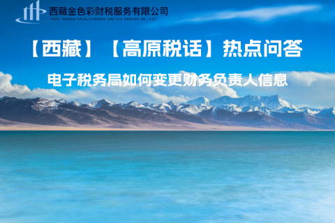 西藏電子稅務(wù)局如何變更財(cái)務(wù)負(fù)責(zé)人信息？